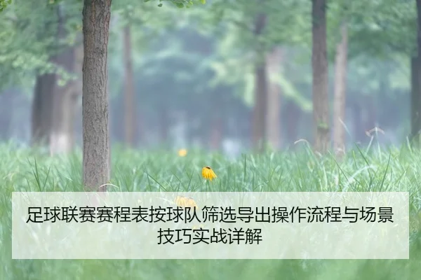 足球联赛赛程表按球队筛选导出操作流程与场景技巧实战详解
